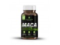 Maca